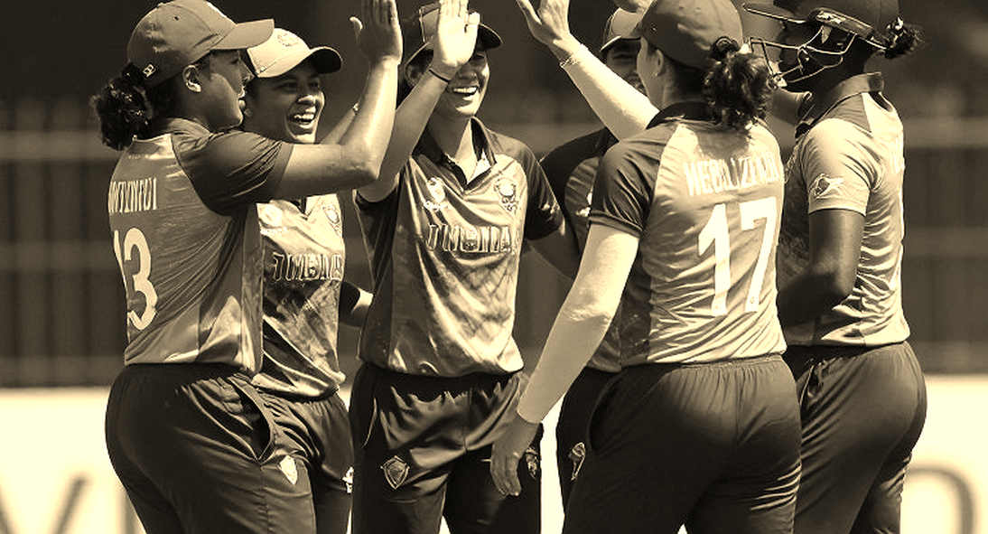 Zero Information Points: The Night Cricket's Ledger Came Back Blank